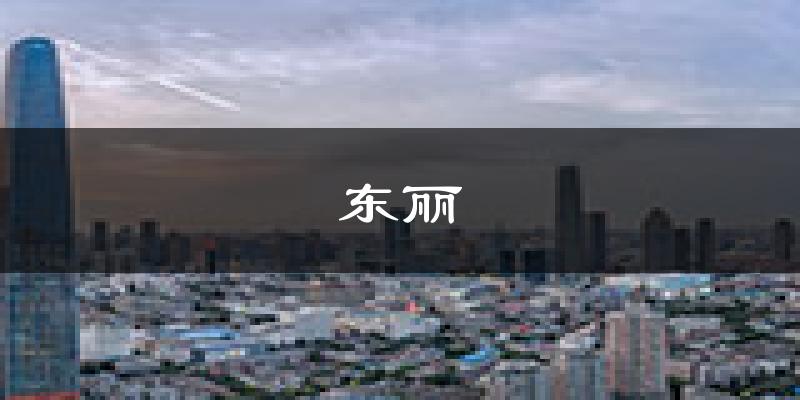 天津東麗天氣預(yù)報未來一周