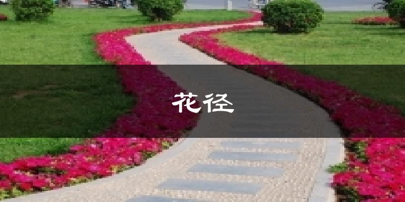 花徑今日天氣