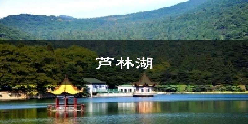 蘆林湖今日天氣
