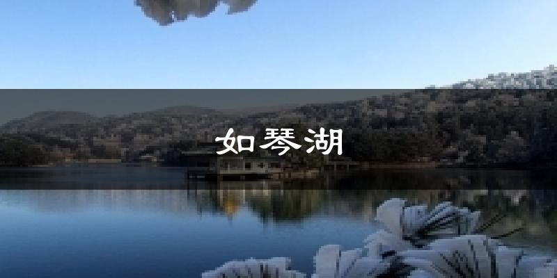 如琴湖今日天氣