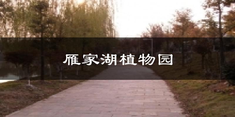 雁家湖植物園氣溫