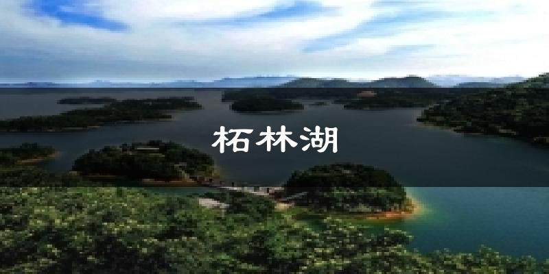 柘林湖氣溫